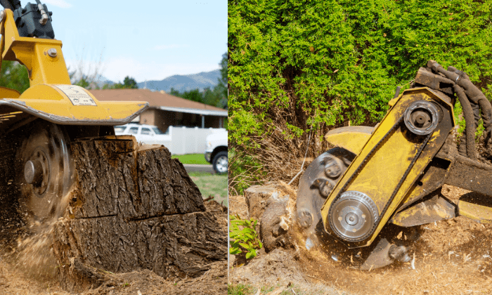 Stump Grinding services in California