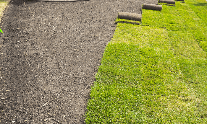 sod installation