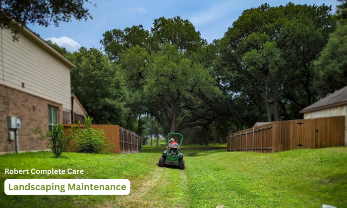 Landscaping Maintenance Service