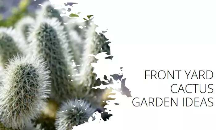 Front Yard Cactus Garden Design Ideas