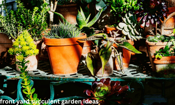 Front Yard Succulent Garden Ideas