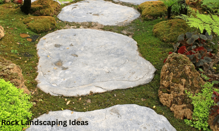 Rock Landscape Ideas