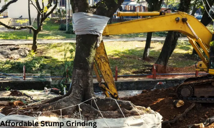 stump grinding cost