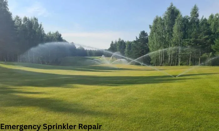 Emergency Sprinkler Repair
