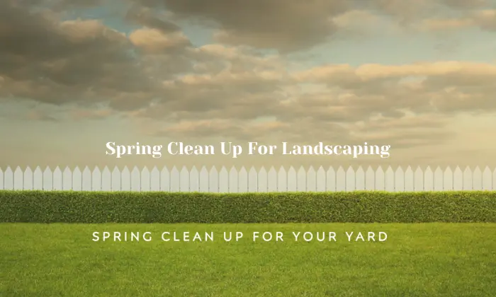 Spring Clean Up For Landscaping
