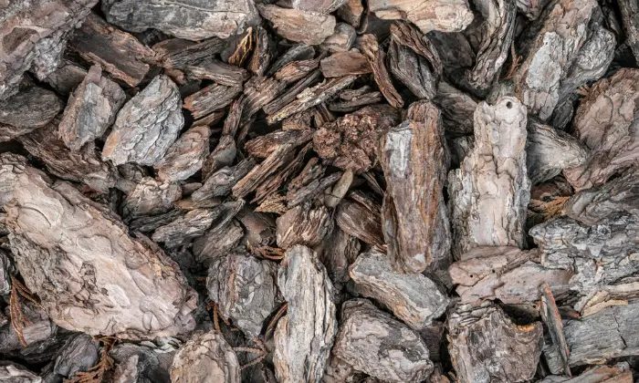 what is bark mulch