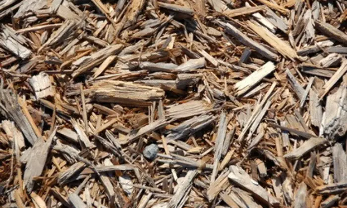 cypress mulch vs cedar mulch