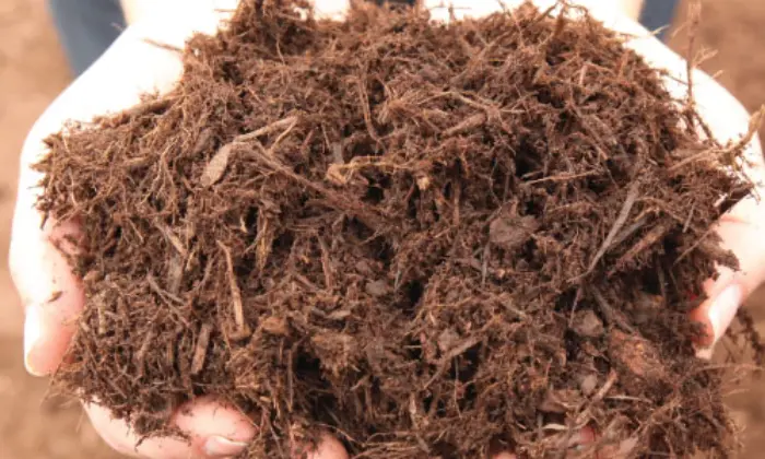 what is double shredded hardwood mulch