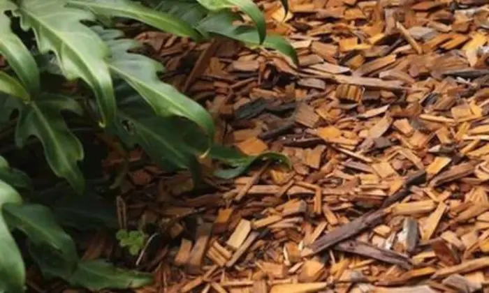 what is hardwood mulch made of