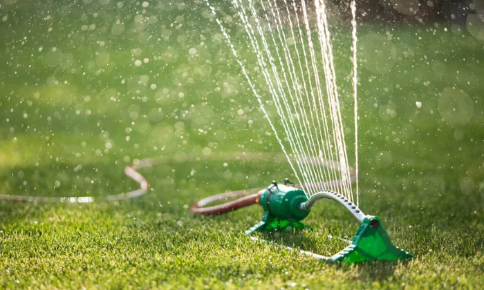 when should i start watering my lawn