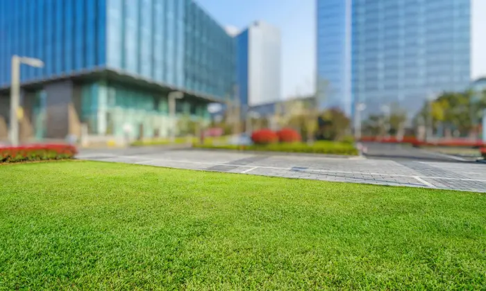 Commercial Lawn Care Services