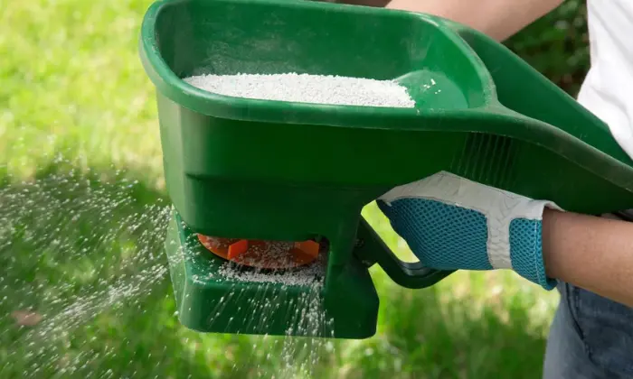 When to Fertilize Lawn | Tips for a Greener Yard