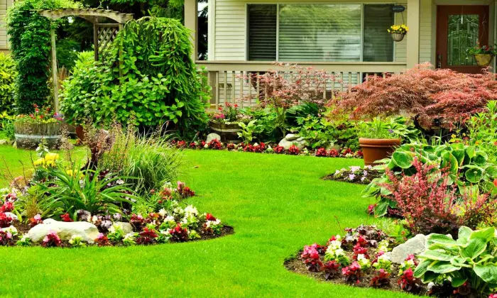 Low Maintenance Front Yard Landscaping Tips and Ideas