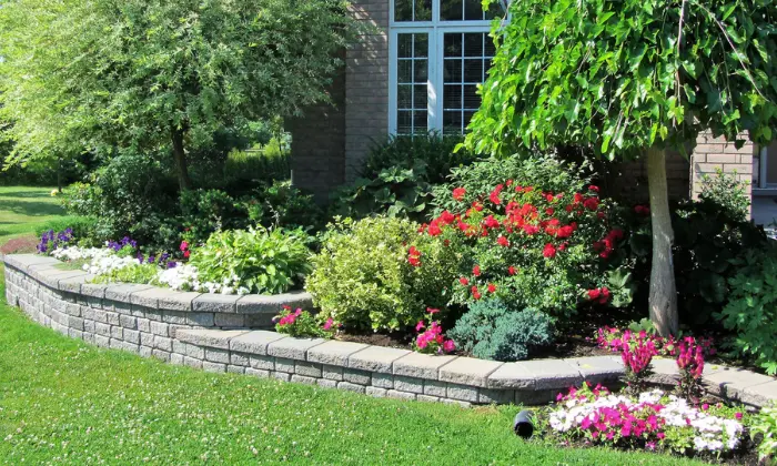 Practical Tips for Low Maintenance Landscaping