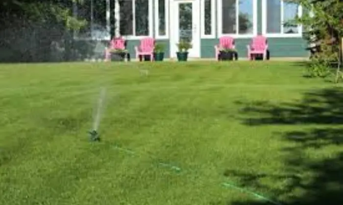 When is the Best Time to Water Lawn in Hot Weather