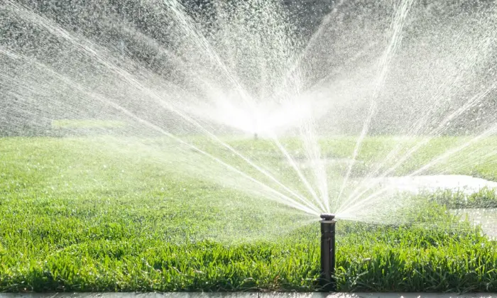 Why Timing Matters In Lawn Watering