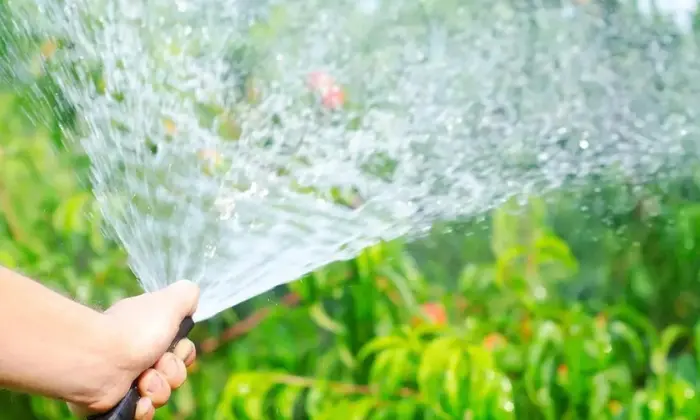 Best Time to Water your Lawn For a Greener Yard