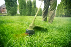 Average Lawn Care Cost – What Homeowners Should Know