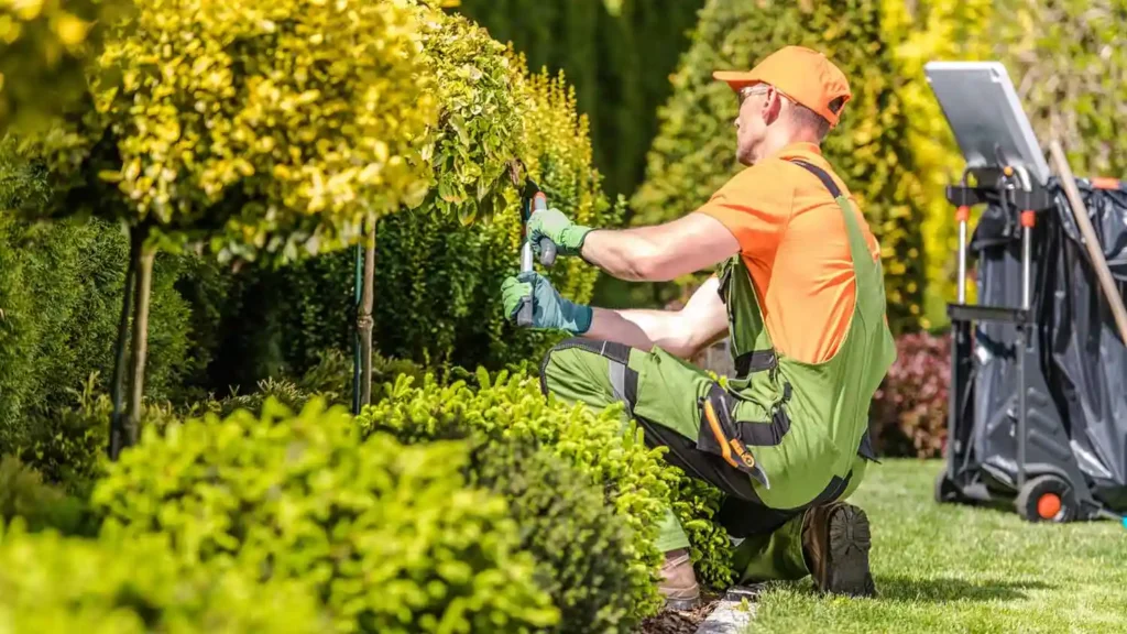 Do You Tip Landscapers? Simple Guide for Homeowners