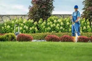 Professional gardener performing lawn maintenance with a pressure washer in a well-kept garden, representing professional lawn care cost and quality landscaping services.