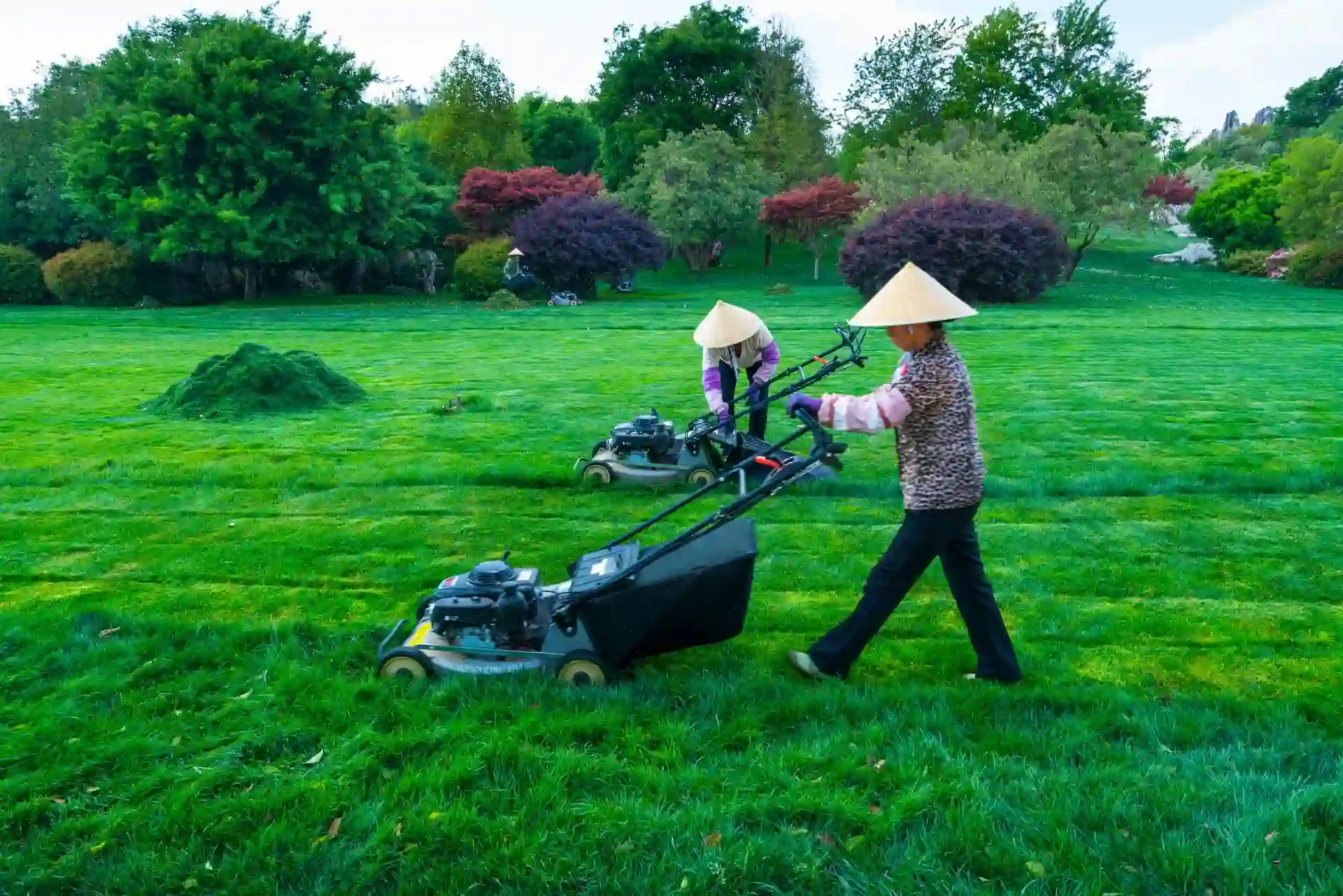 Team of professional landscapers mowing grass in a large garden, showing quality lawn maintenance and affordable lawn care cost services.