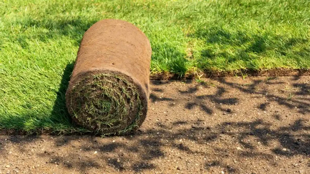 Can You Lay Turf Over Existing Grass – Step‑by‑Step