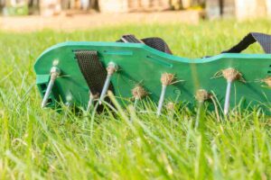 How Much Should Lawn Aeration Cost? Pricing Guide