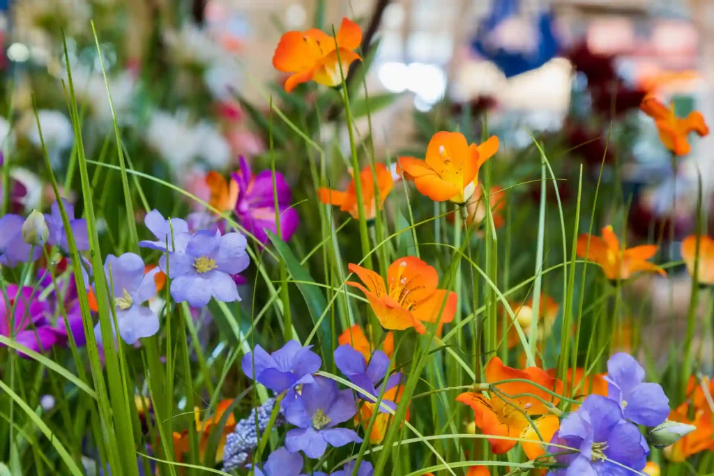 What type of plants are involved landscaping with colorful annual flowers, ornamental grasses, and seasonal garden blooms