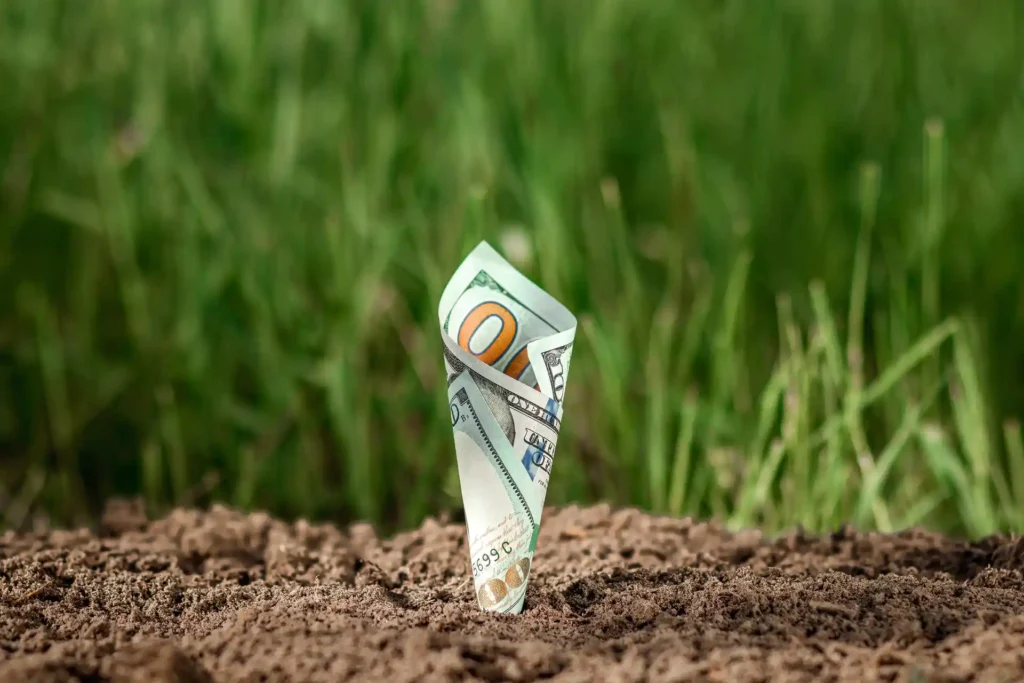 Rolled dollar bill planted in soil symbolizing how much does it cost to install sod and lawn investment planning