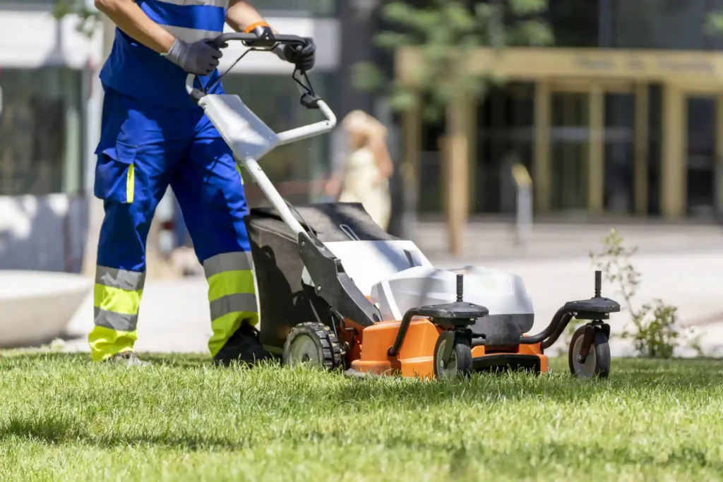 Professional lawn mowing service trimming grass, showing equipment and care How Much Does Lawn Mowing Cost