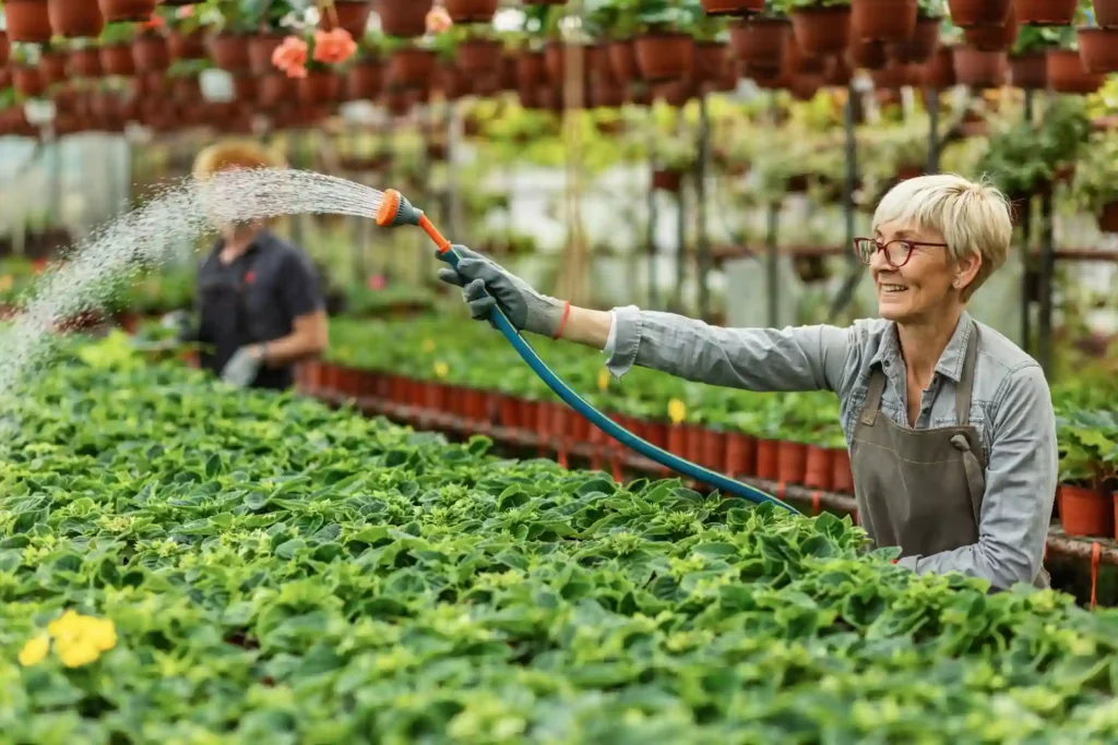 Gardener watering plants showing how much does a sprinkler system cost for labor and maintenance
