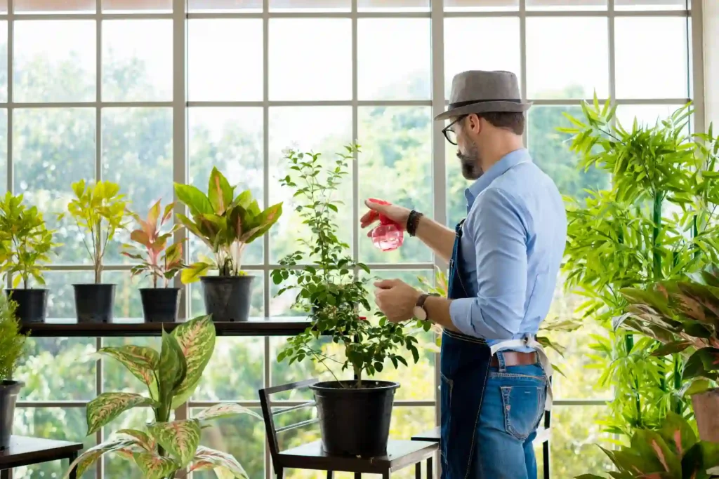 What type of plants are involved landscaping with a gardener caring for potted shrubs and indoor landscaping plants