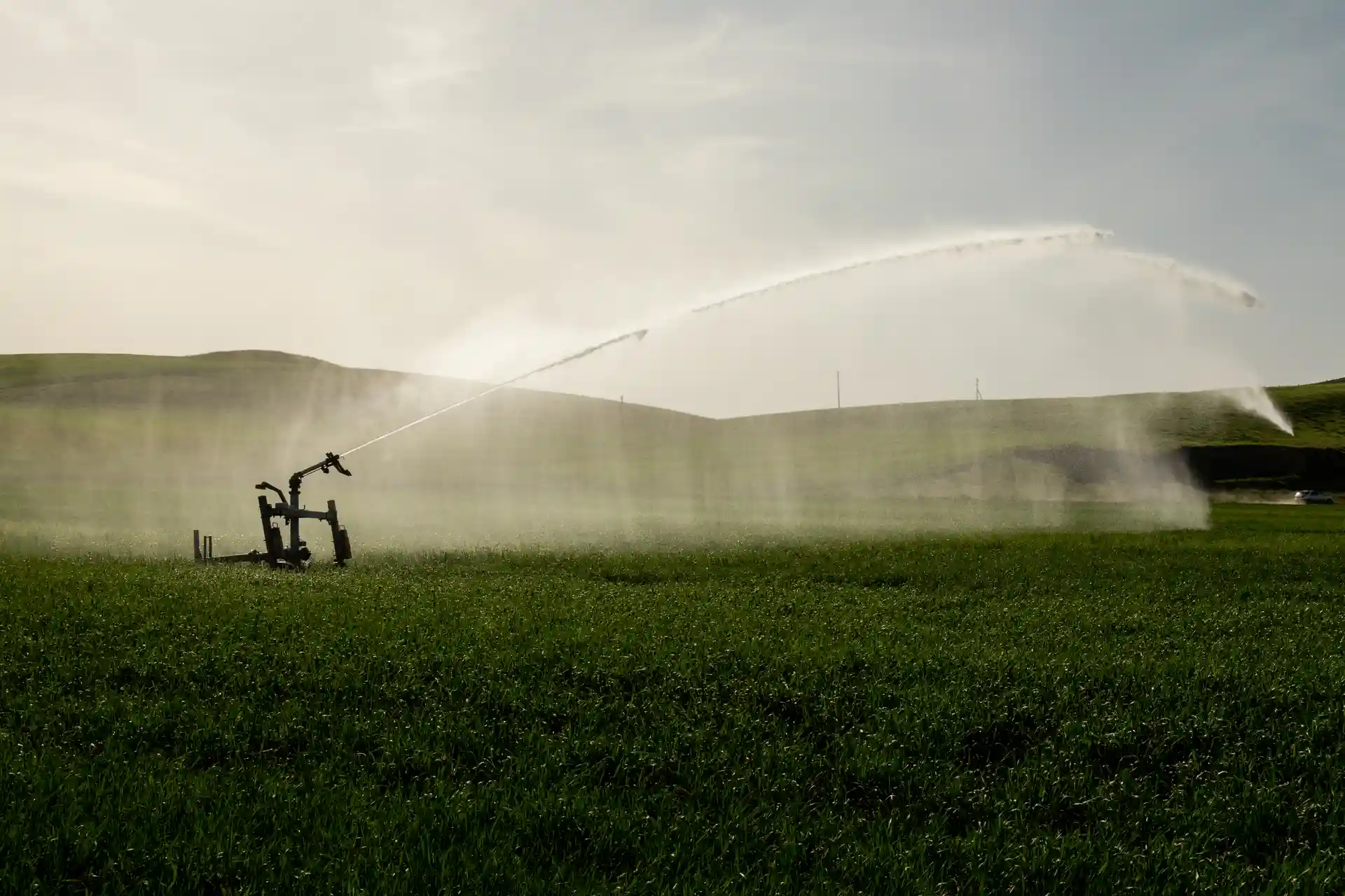 What is a irrigation system shown by a sprinkler irrigating green farmland with controlled water spray