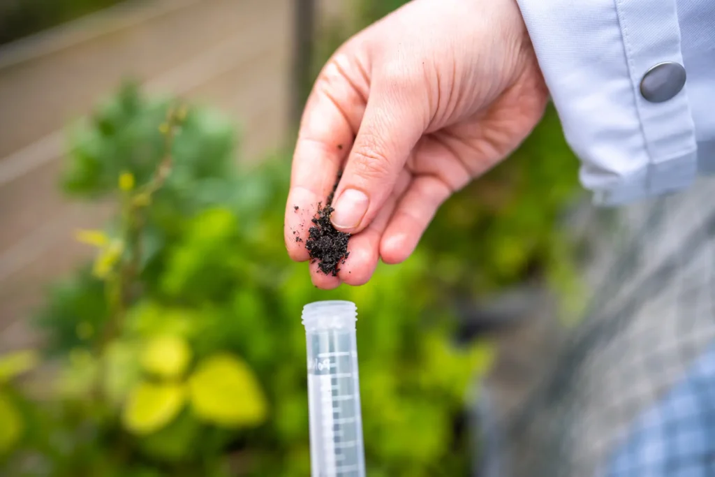 Hand adding soil into a test tube for analysis, demonstrating How to Test Your Lawn Soil at home