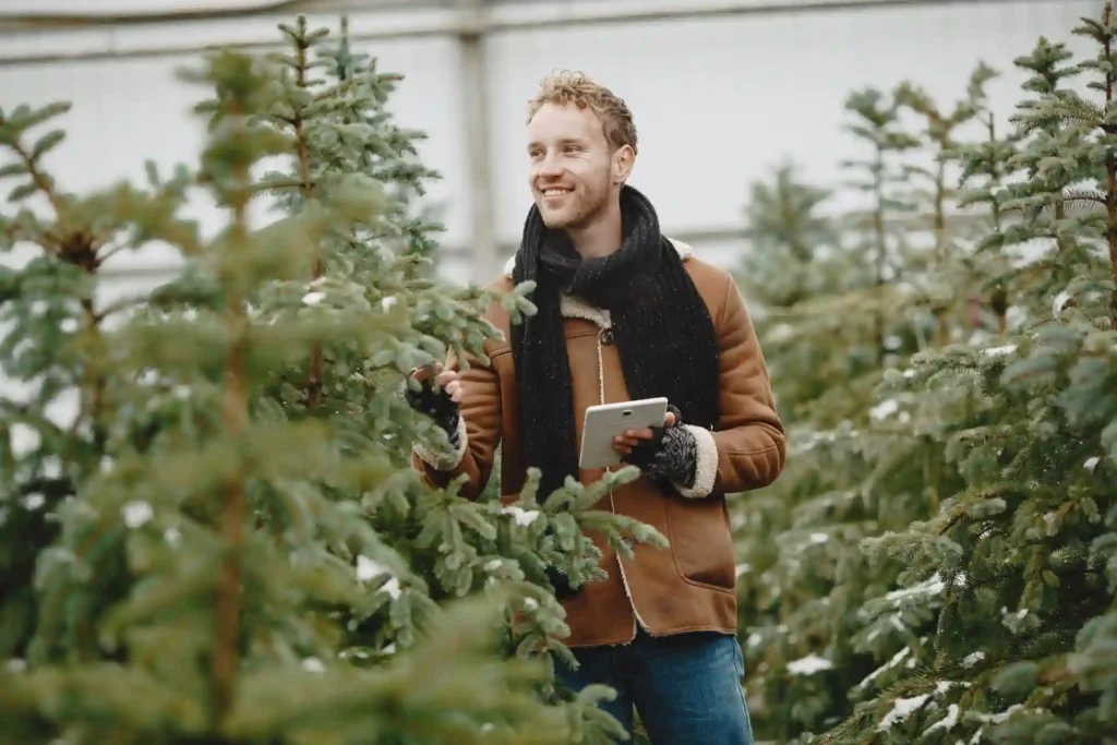 Gardener inspecting evergreen plants in winter while learning how to protect your plants from frost