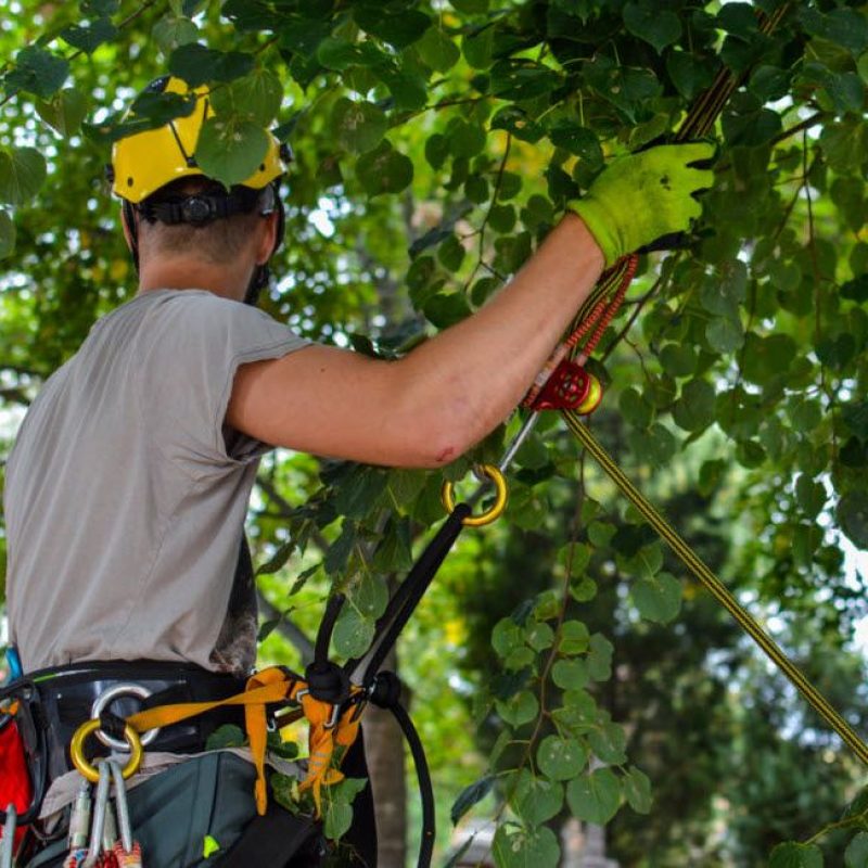 63dd6d45bedd4c427215b19104ac9db5 (1)