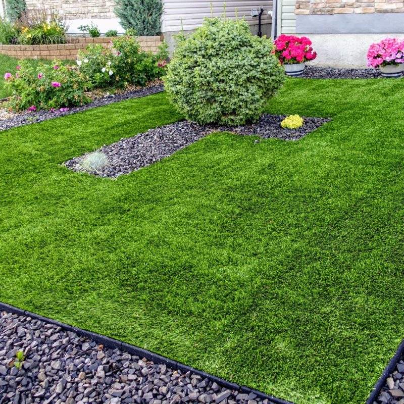 AdobeStock_365397142-min-scaled