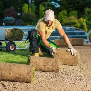 Lawn professional laying fresh sod rolls, showing how much does it cost to install sod for a new green lawn