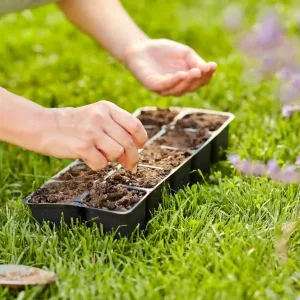 Hands collecting soil samples in a tray during How to Test Your Lawn Soil at home for pH and nutrients