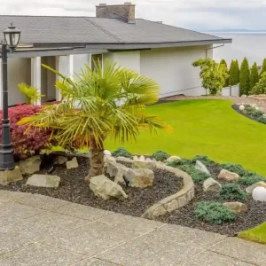 Beautifully landscaped modern front yard with lush green lawn, decorative rocks, palm trees, and colorful shrubs in front of a contemporary house overlooking the water.