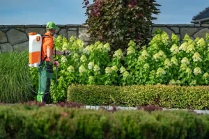 Landscape worker spraying shrubs, showing what does landscape maintenance include in professional garden care