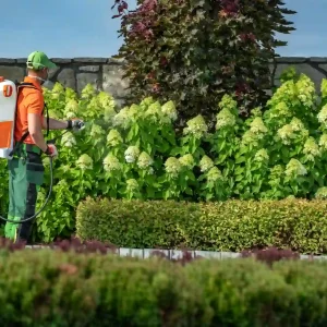 Landscape worker spraying shrubs, showing what does landscape maintenance include in professional garden care