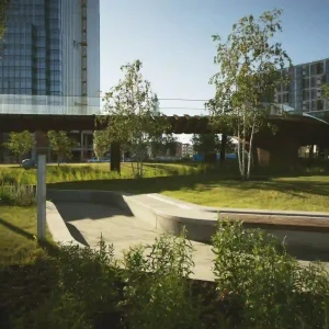 Urban business park showing what is commercial landscaping with green spaces, walkways, and modern outdoor design