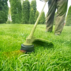 Average Lawn Care Cost – What Homeowners Should Know