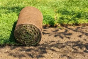 Can You Lay Turf Over Existing Grass – Step‑by‑Step