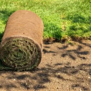 Can You Lay Turf Over Existing Grass – Step‑by‑Step