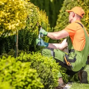 Do You Tip Landscapers? Simple Guide for Homeowners