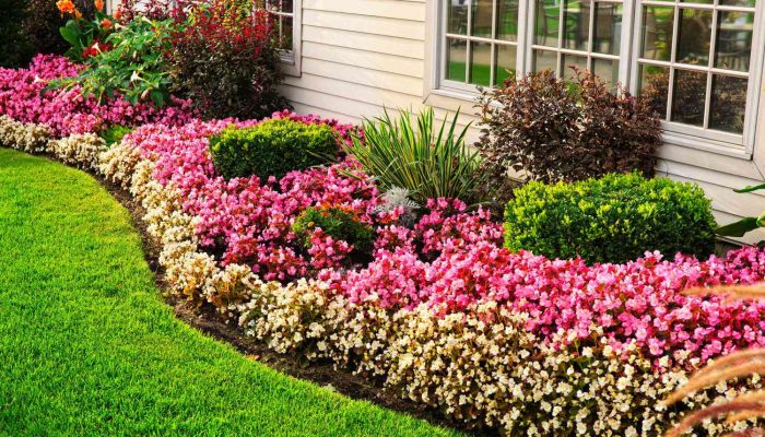 flower-bed-getty-0323-2000-629cf34554e24ab1b5fc7bb3033071c9