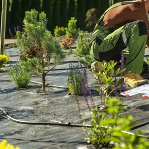 Professional landscaper planting shrubs and trees during a landscape horticulture project, using irrigation lines and design plans for a sustainable garden in Whittier, California.