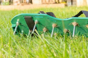 How Much Should Lawn Aeration Cost? Pricing Guide